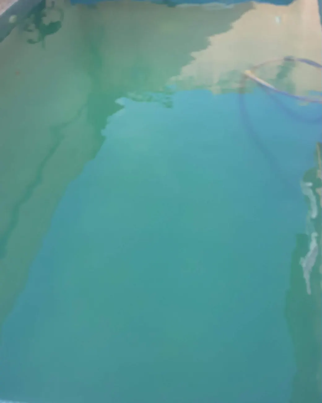Antes: piscina com água verde e turva